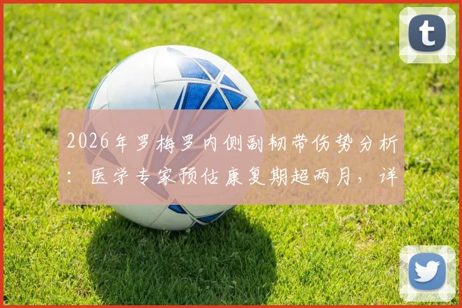 2026年罗梅罗内侧副韧带伤势分析：医学专家预估康复期超两月，详细解读伤情影响与恢复时间线